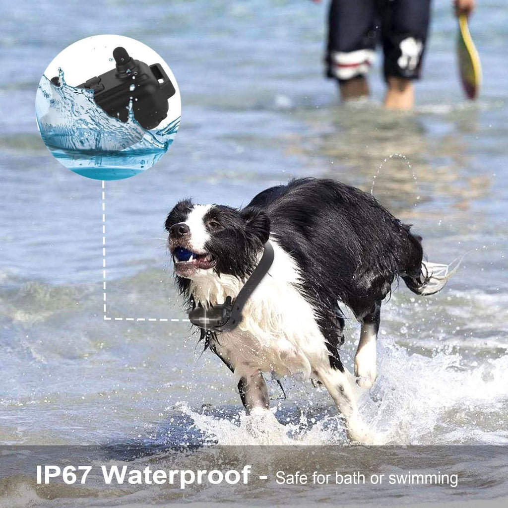 Collier de dressage pour chien iMountek IP