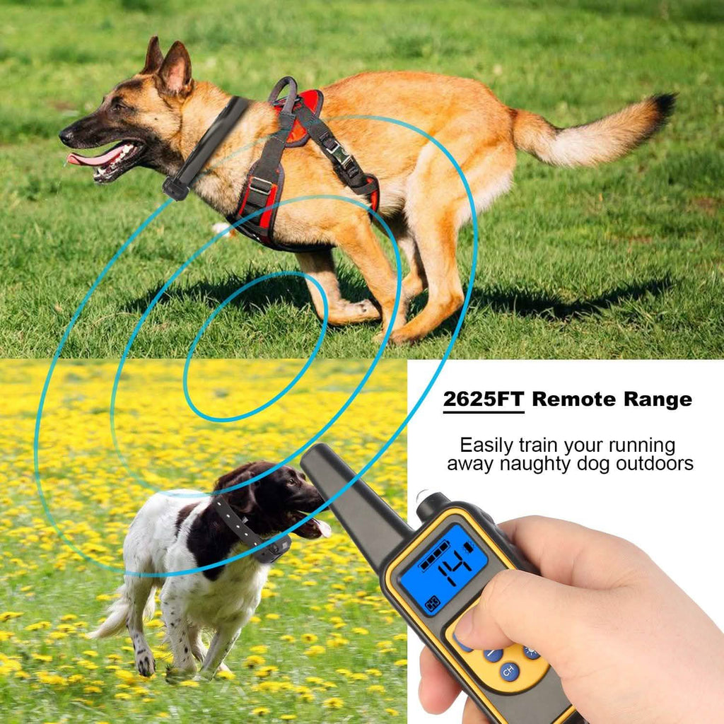 Collier de dressage pour chien iMountek IP