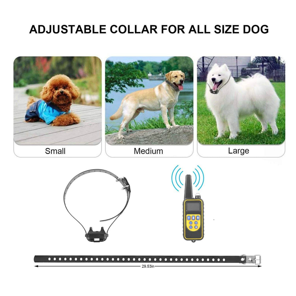 Collier de dressage pour chien iMountek IP