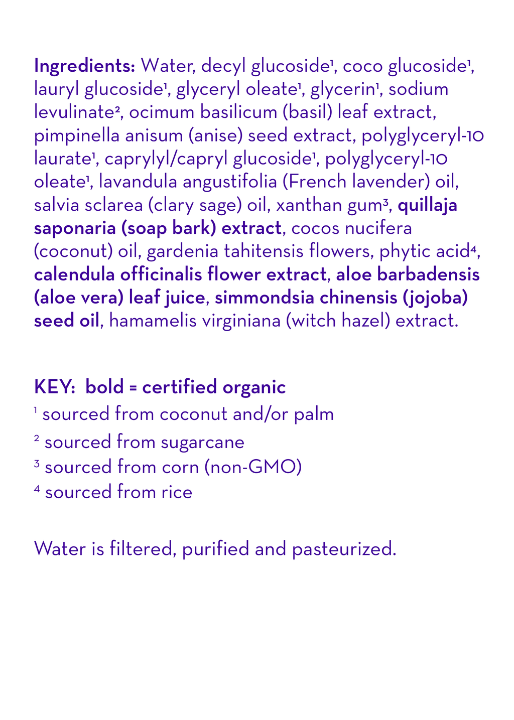 Nettoyant Mains Hydratant Calendula™