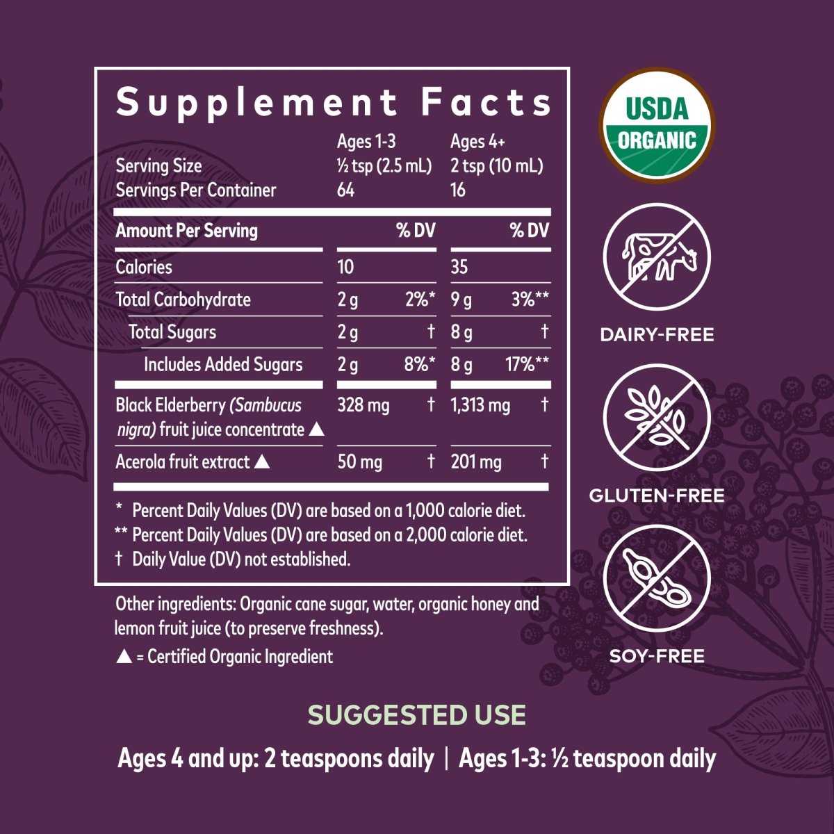 Gaia Herbs Sirop de Sureau Noir Quotidien Adulte – 5,4 fl oz (16 jours d'approvisionnement)