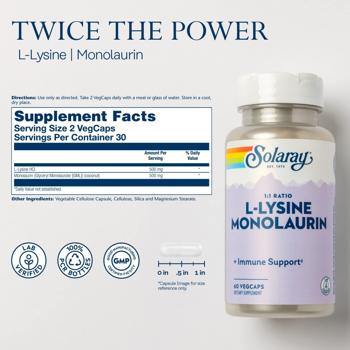 Solaray L-Lysine Monolaurine Soutien Immunitaire - Formule Puissante pour une Fonction Optimale du Système Immunitaire - 60 Gélules Végétales
