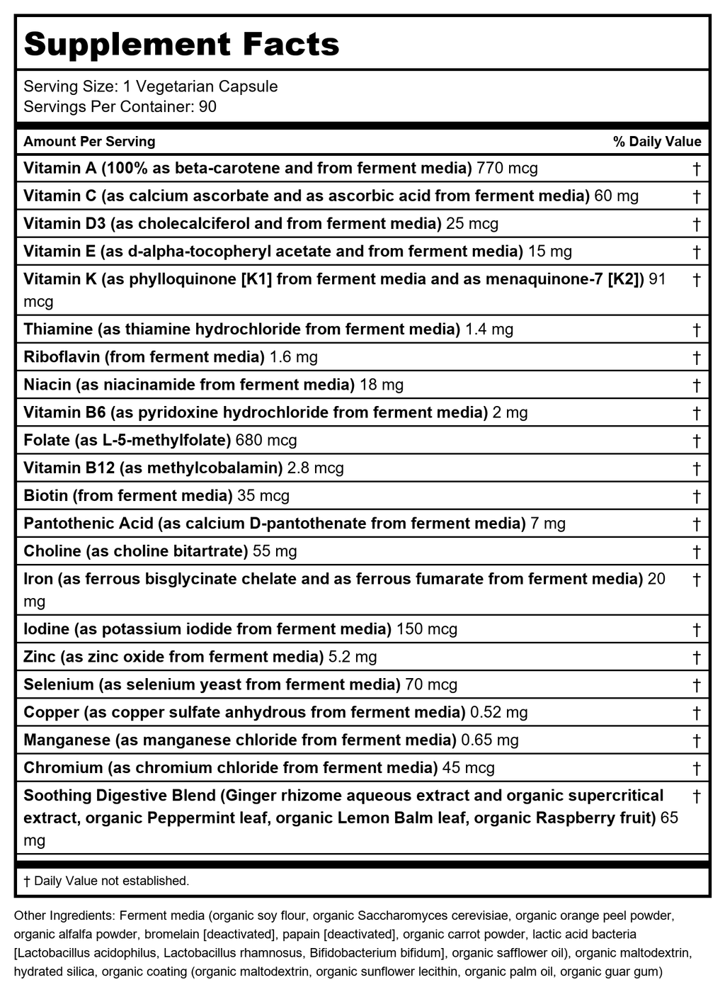 Multivitamines prénatales quotidiennes New Chapter One Daily 90 gélules végétales