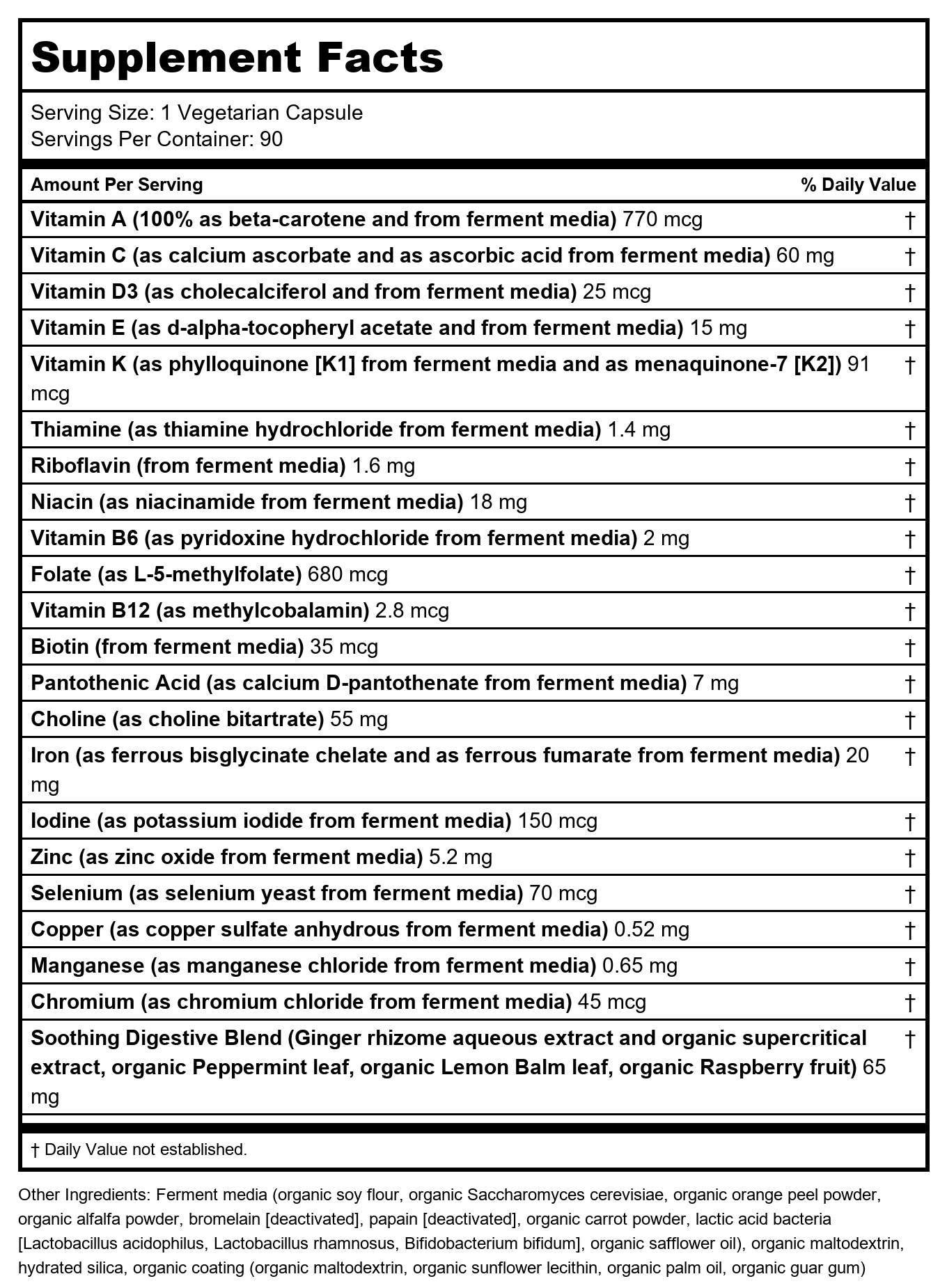 Multivitamines prénatales quotidiennes New Chapter One Daily 90 gélules végétales