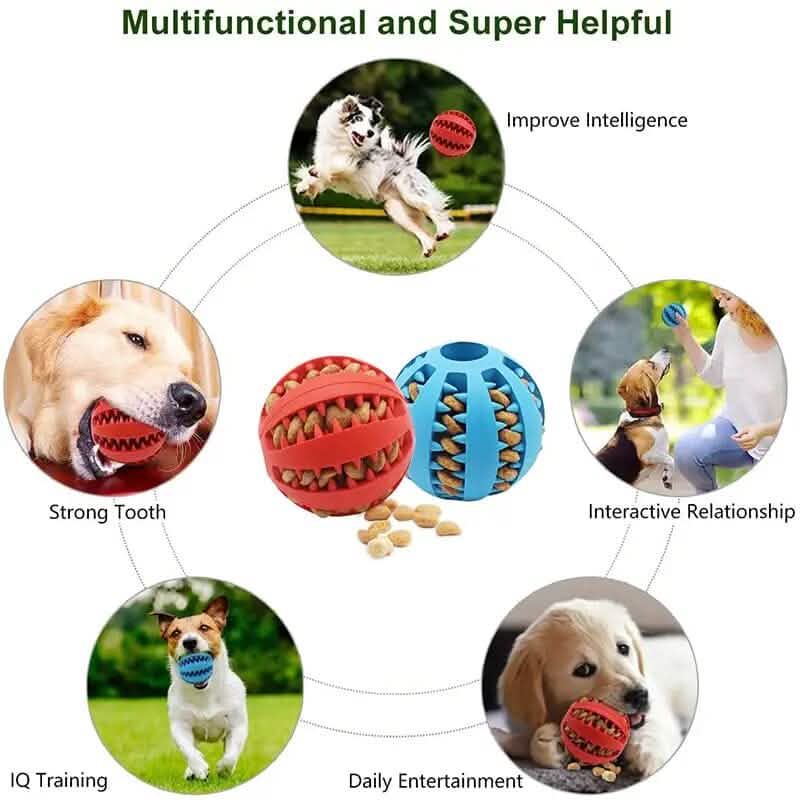 Jouet à mâcher interactif en élastomère pour chiot