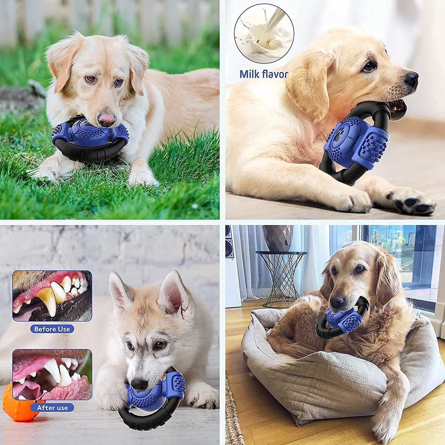 Jouet à mâcher couineur interactif pour chien