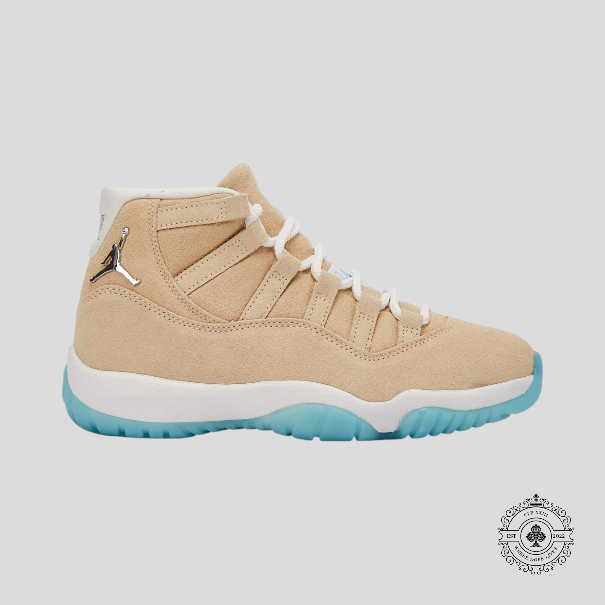 Air Jordan 11 Rétro H-Town
