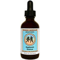 Kan Herb Chinese Modular Solutions Essence nourrissante 30 ml