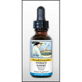 Kan Herb Traditionals Stomach Support 8 Ounce