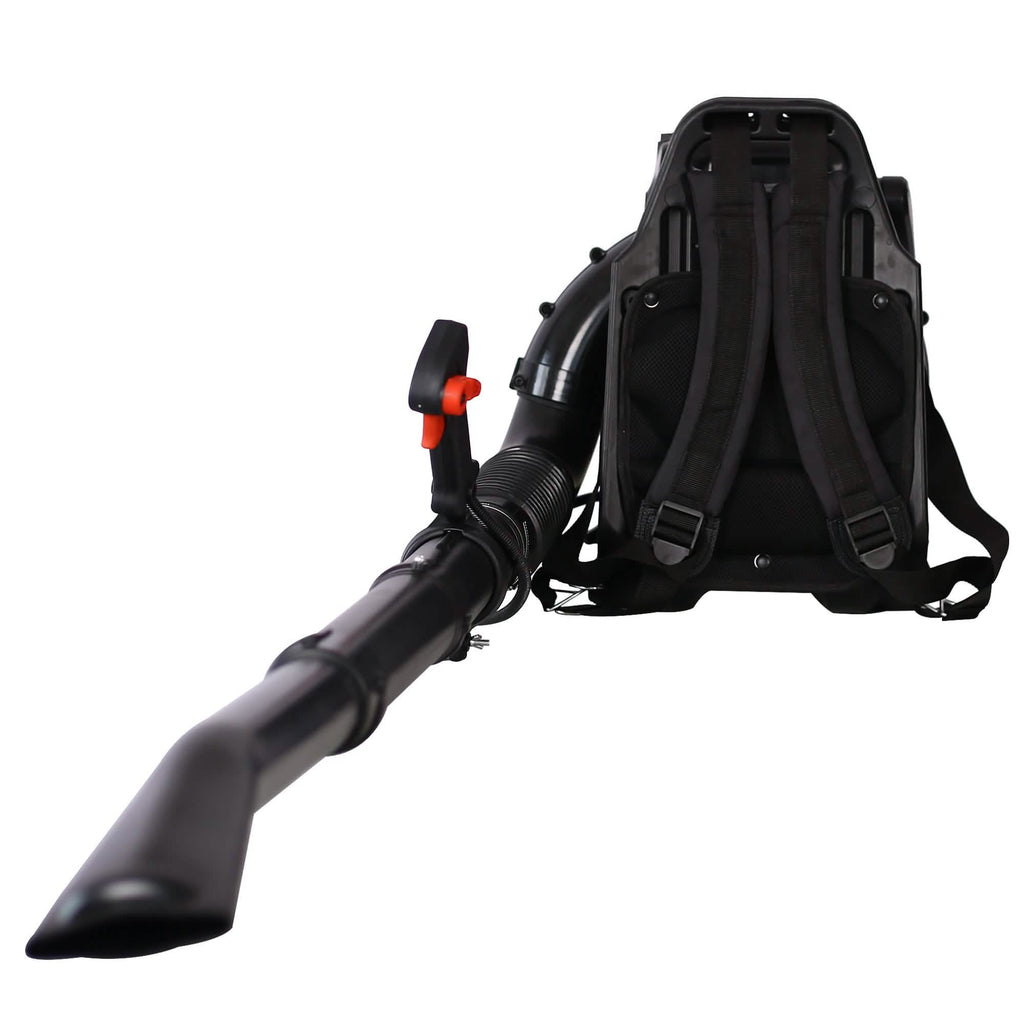 Souffleur de feuilles thermique dorsal