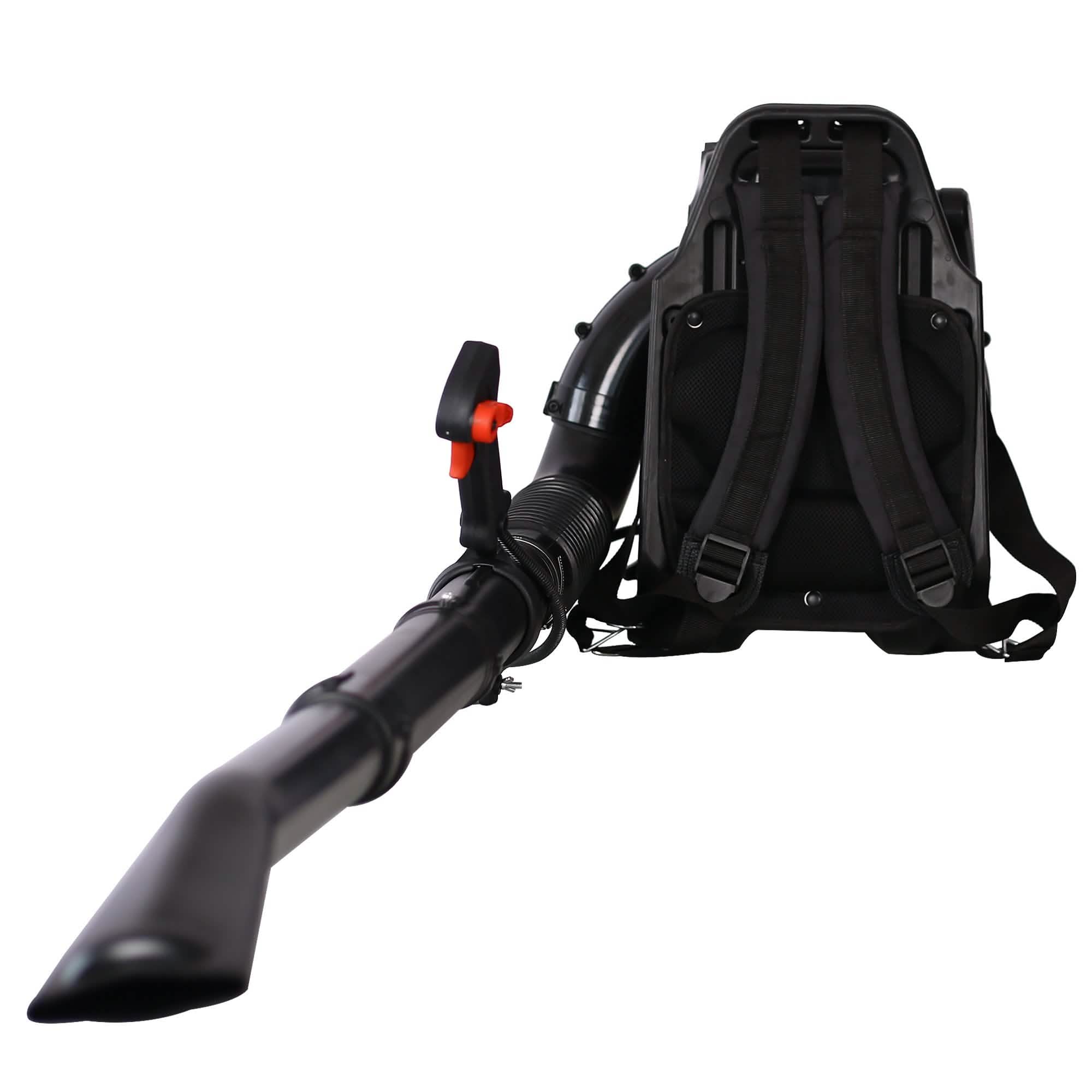 Souffleur de feuilles thermique dorsal