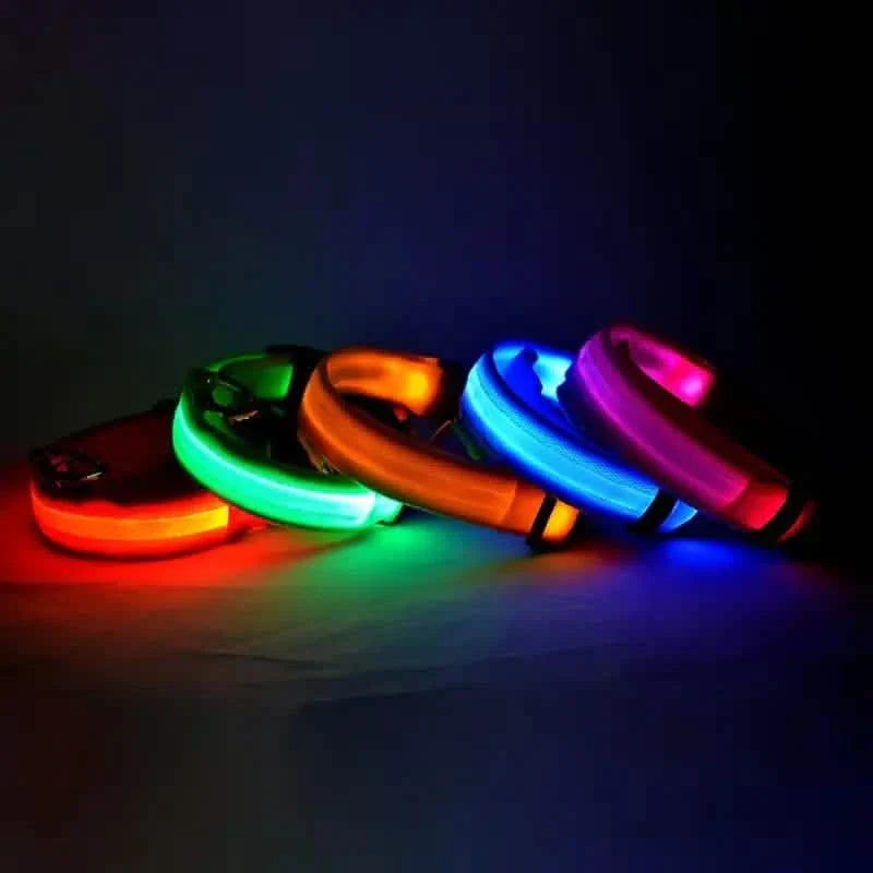 Colliers LED pour chiens, lumineux, réglables, clignotants, anti-perte la nuit