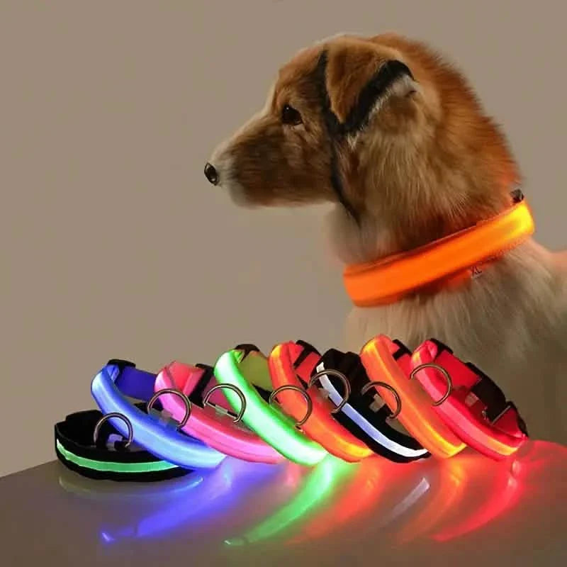 Colliers LED pour chiens, lumineux, réglables, clignotants, anti-perte la nuit