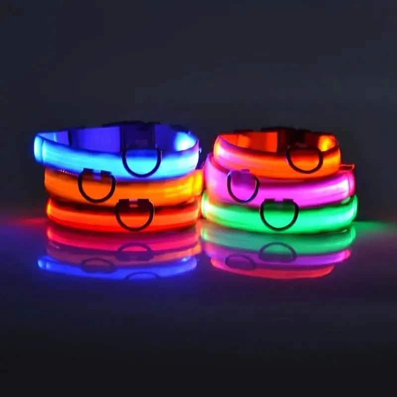 Colliers LED pour chiens, lumineux, réglables, clignotants, anti-perte la nuit
