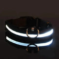 Colliers LED pour chiens, lumineux, réglables, clignotants, anti-perte la nuit
