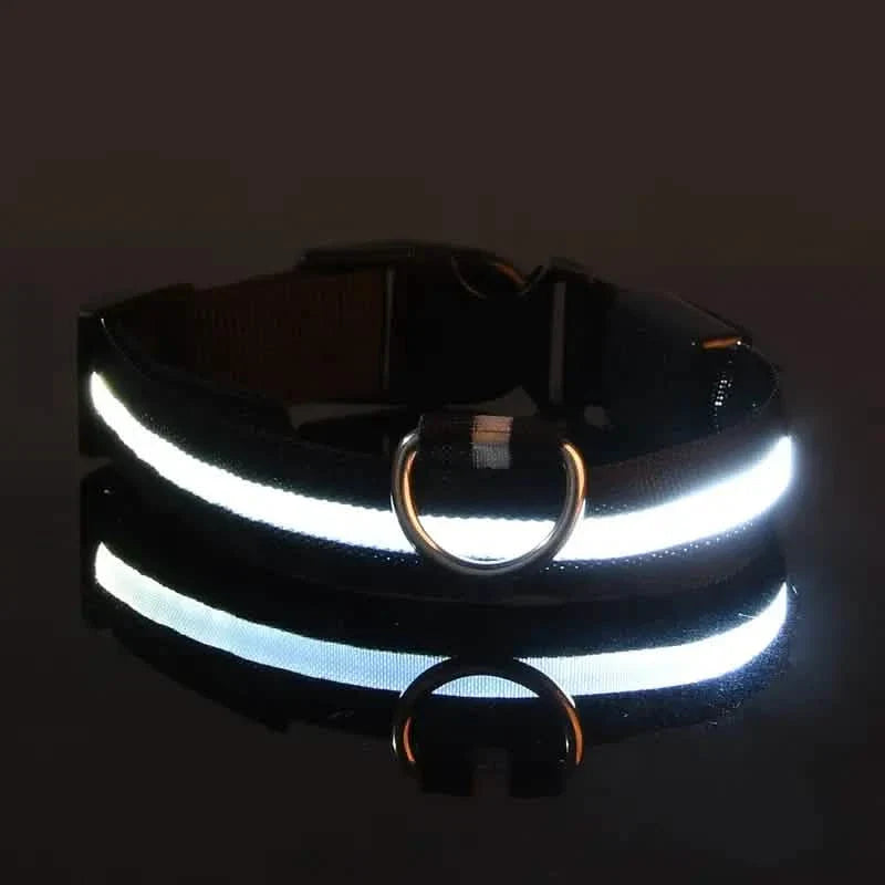 Colliers LED pour chiens, lumineux, réglables, clignotants, anti-perte la nuit