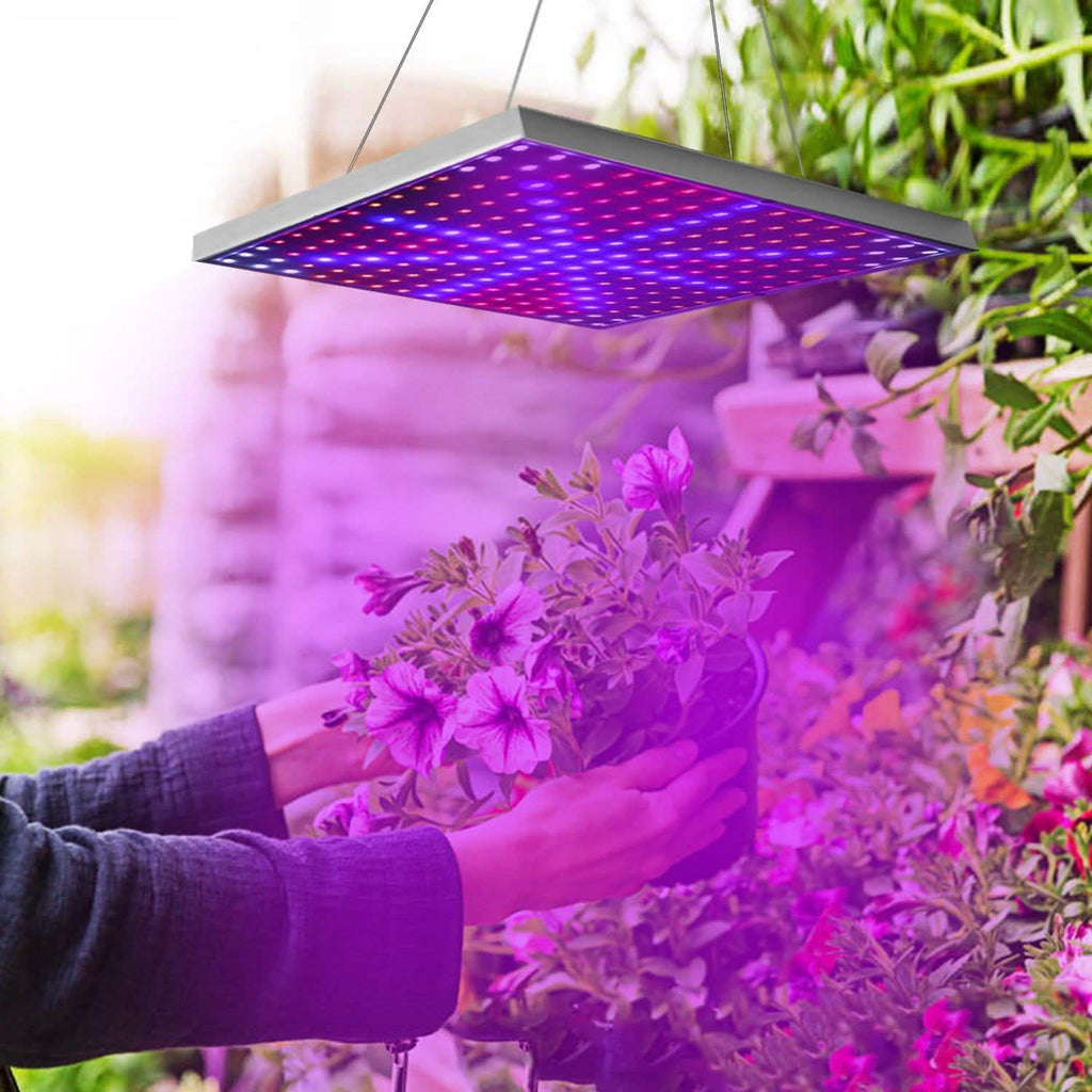 Lampe de croissance LED à spectre complet suspendue