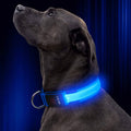 Collier lumineux pour animaux de compagnie