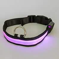 Collier lumineux pour animaux de compagnie