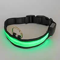 Collier lumineux pour animaux de compagnie