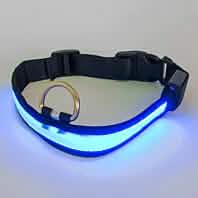 Collier lumineux pour animaux de compagnie