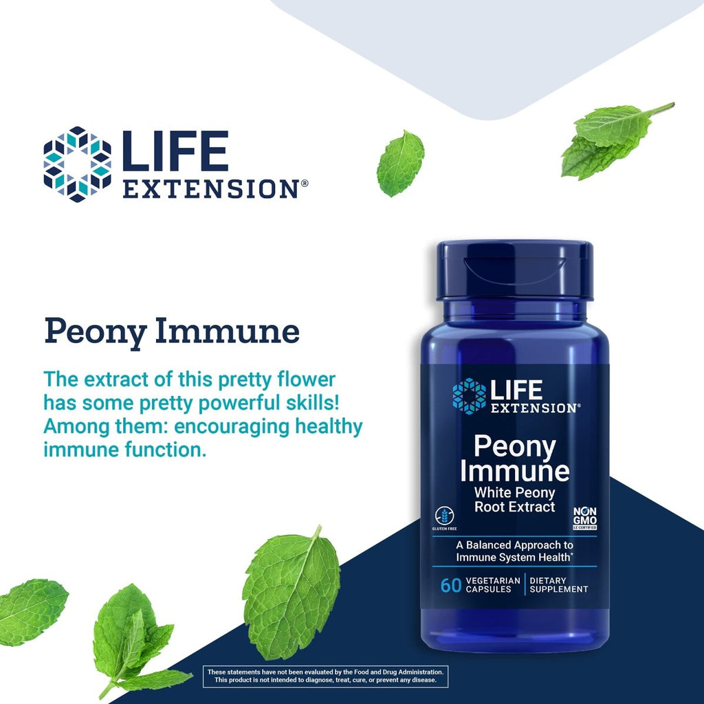 Life Extension Peony Immune – Supplément d'extrait de racine de pivoine blanche pour un soutien immunitaire sain et l'équilibre cellulaire – Sans OGM, sans gluten, végétarien – 60 gélules