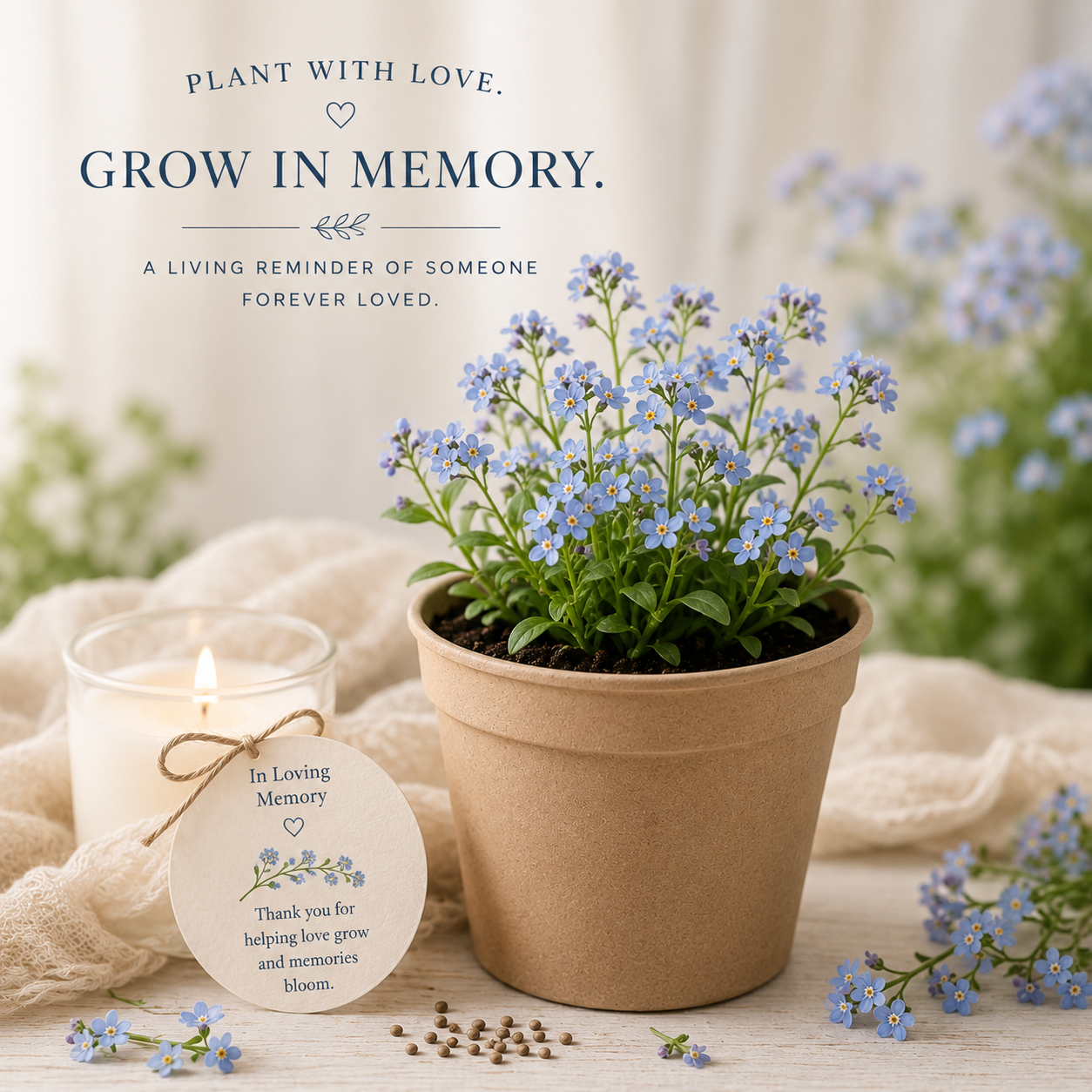 Kit de croissance commémoratif Myosotis