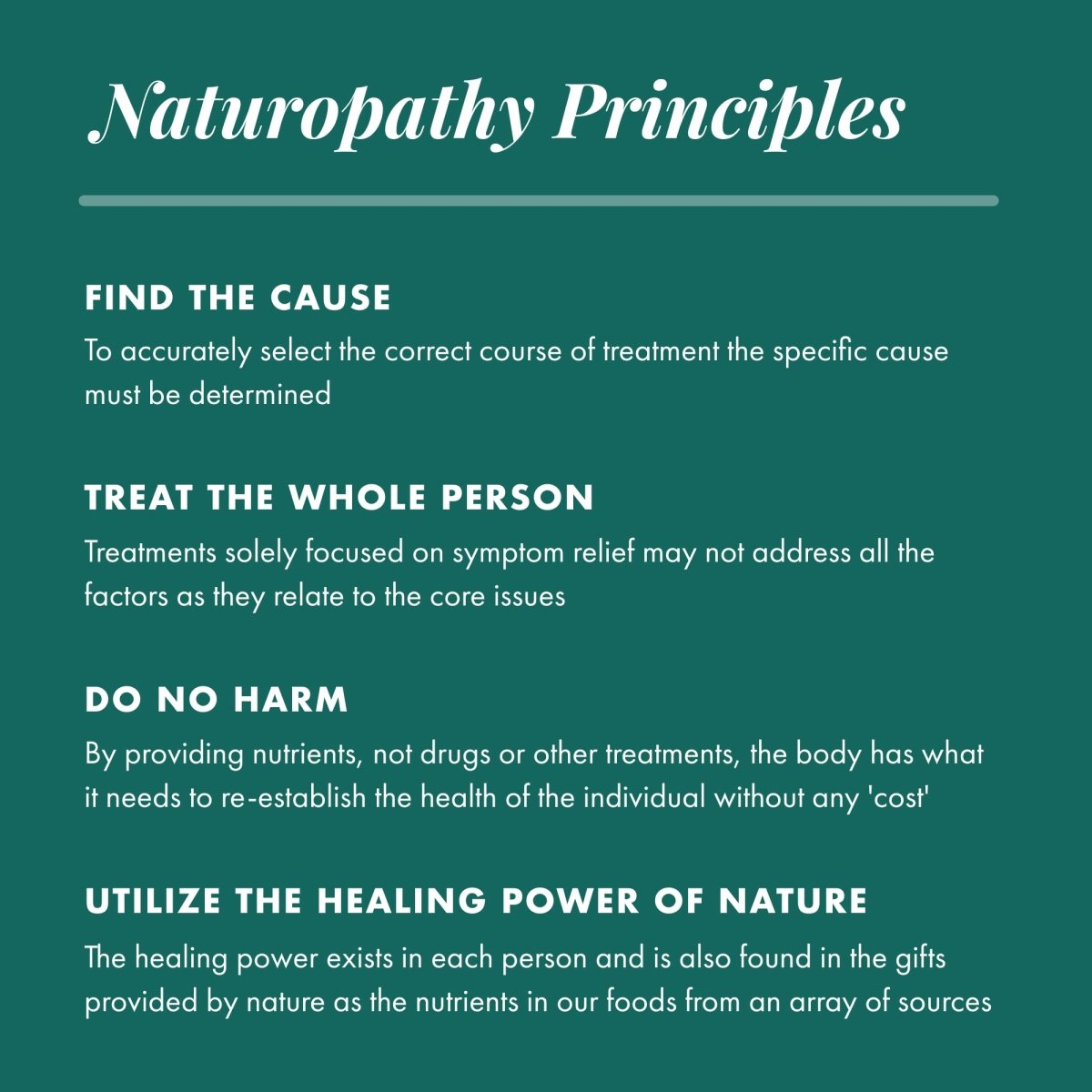 Michael's Naturopathic Programs - Prostate Factors - 120 comprimés
