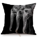 Housses de Coussin Carrées 45x45cm pour Canapé, Décoration d'Intérieur, avec Motif Lion Zèbre Éléphant Tigre, Photographie Animale Moderne en Noir et Blanc