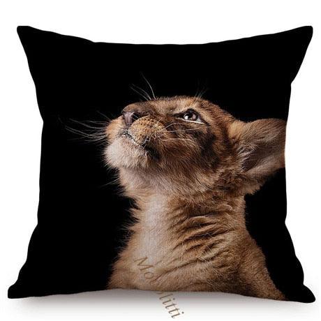 Housses de Coussin Carrées 45x45cm pour Canapé, Décoration d'Intérieur, avec Motif Lion Zèbre Éléphant Tigre, Photographie Animale Moderne en Noir et Blanc