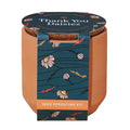 Modern Sprout - Kit de germination « Marguerite » en terre cuite