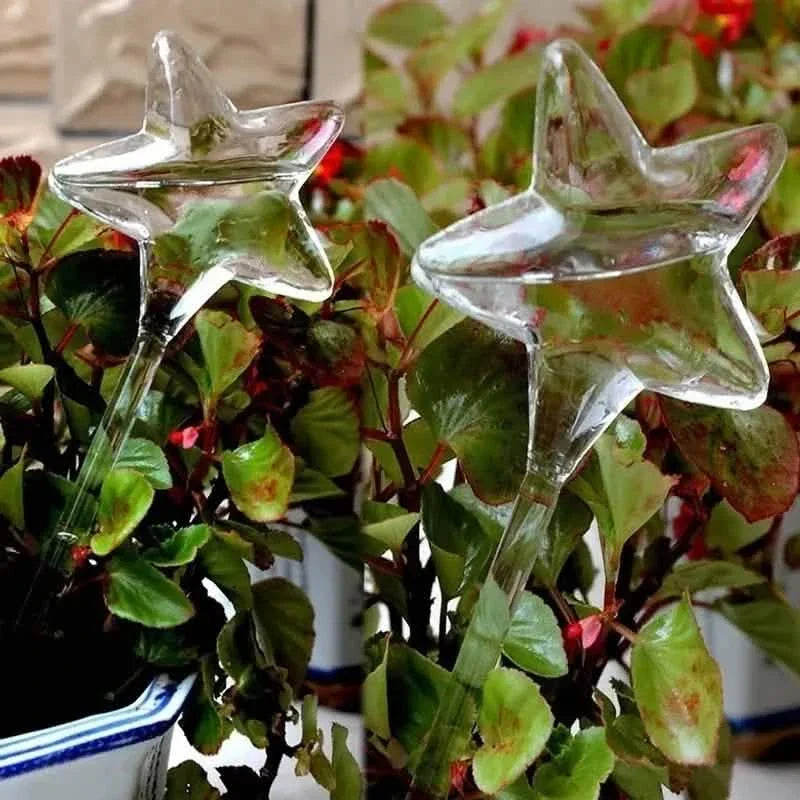 Dispositif d'arrosage pour fleurs en forme de champignon