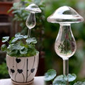 Dispositif d'arrosage pour fleurs en forme de champignon