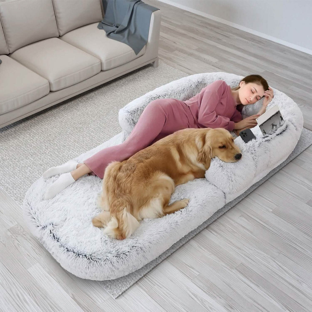 Lit pour chien taille humaine lavable en machine avec housse amovible zippée