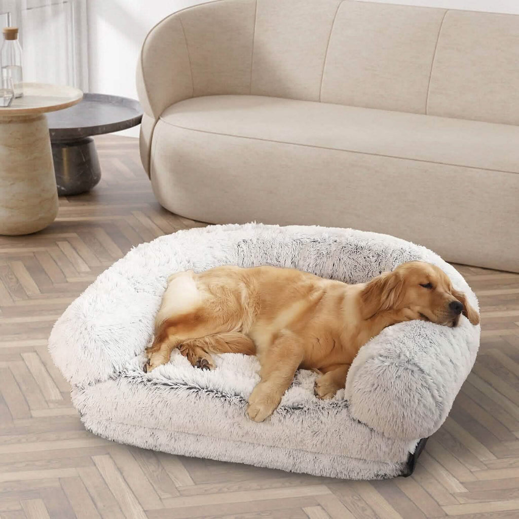 Lit pour chien taille humaine lavable en machine avec housse amovible zippée