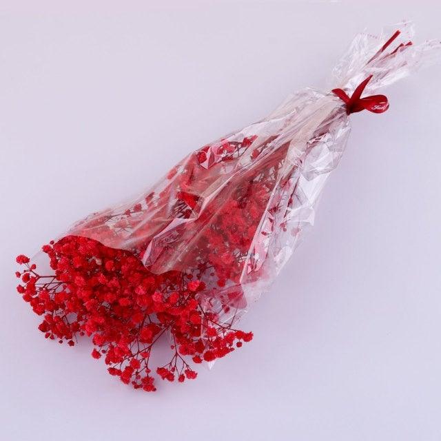 Fleurs séchées naturelles Gypsophile Mini Souffle de bébé Fleur Conservée Décor Floral Bouquet Mariage Fête Maison Toile de fond Décor 12cm