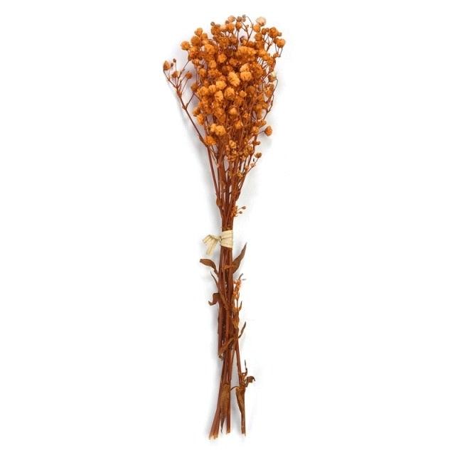 Fleurs séchées naturelles Gypsophile Mini Souffle de bébé Fleur Conservée Décor Floral Bouquet Mariage Fête Maison Toile de fond Décor 12cm