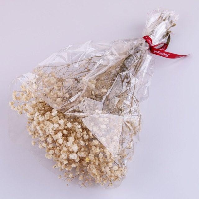 Fleurs séchées naturelles Gypsophile Mini Souffle de bébé Fleur Conservée Décor Floral Bouquet Mariage Fête Maison Toile de fond Décor 12cm