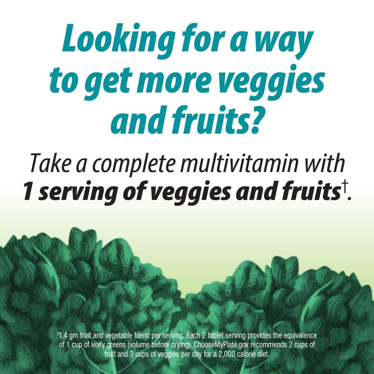 Nature's Way Alive! Garden Goodness Men's Multivitamin, One Serving of Veggies and Fruits, High Potency B-Vitamins, 60 Tablets