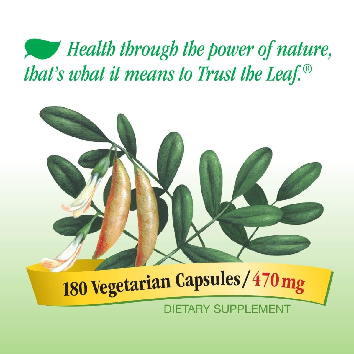 Nature's Way Racine d'astragale, soutien immunitaire traditionnel, vérifié sans OGM, végétalien, 180 gélules