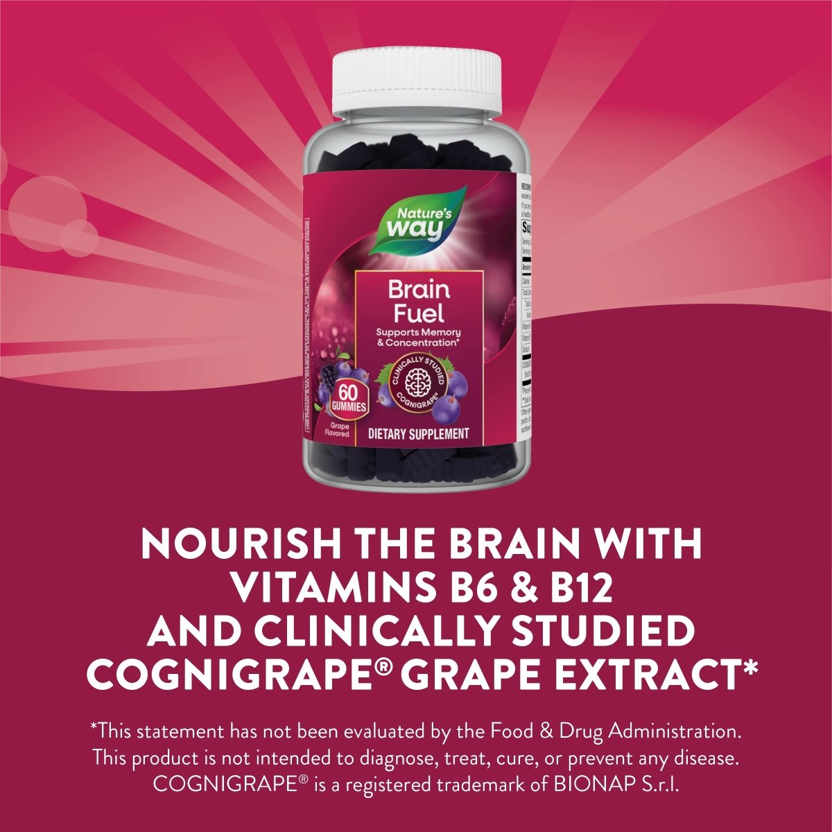 Nature's Way Brain Fuel, Soutient la mémoire et la concentration*, Cognigrape? testé cliniquement, 60 gommes, Saveur de raisin