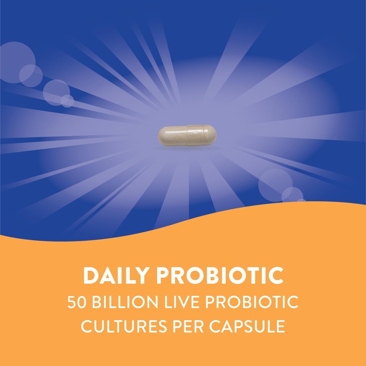 Nature's Way Fortify Optima Probiotiques quotidiens 50 milliards, 50 milliards de cultures vivantes, 6 souches probiotiques, soutient la santé digestive et immunitaire, 30 gélules