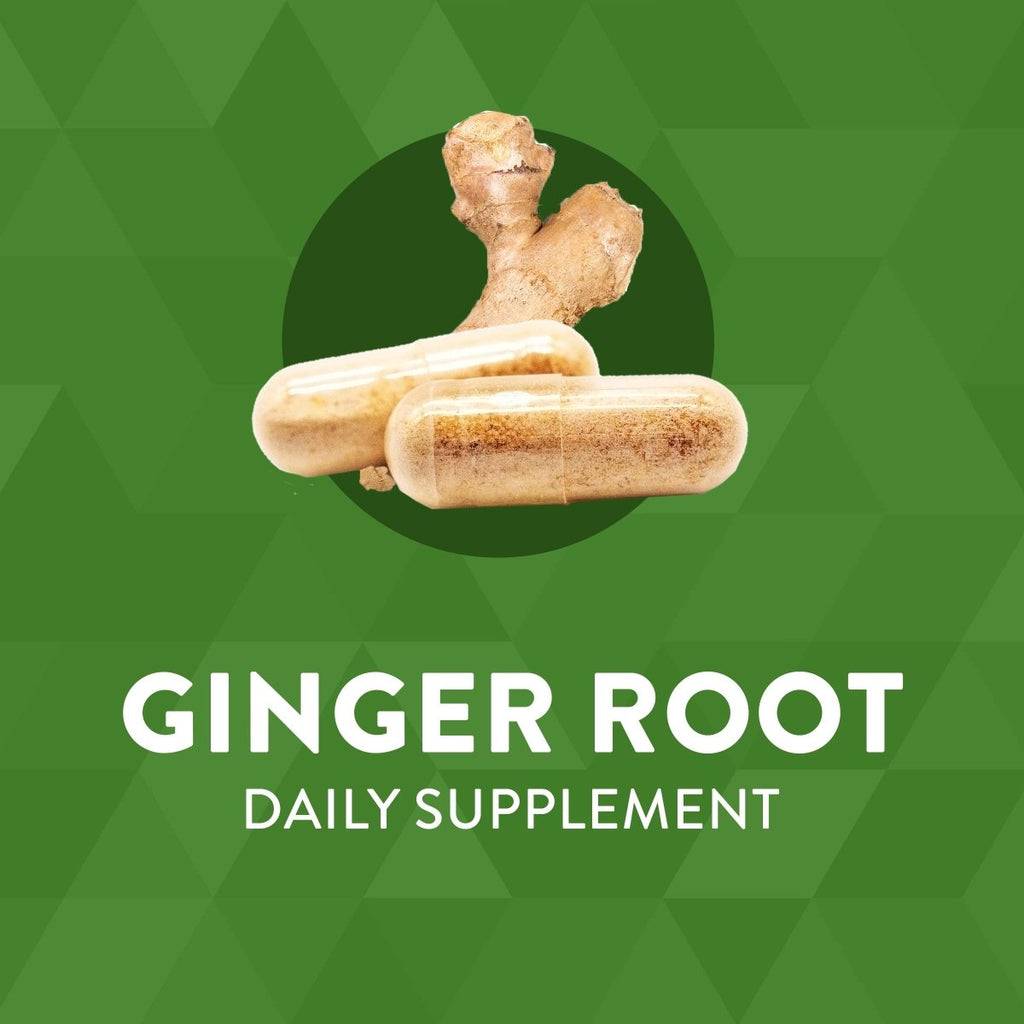 Nature's Way Ginger Root, Traditional Digestive Support, 1110 mg Per Serving, Non-GMO Project Verified, 240 Capsules