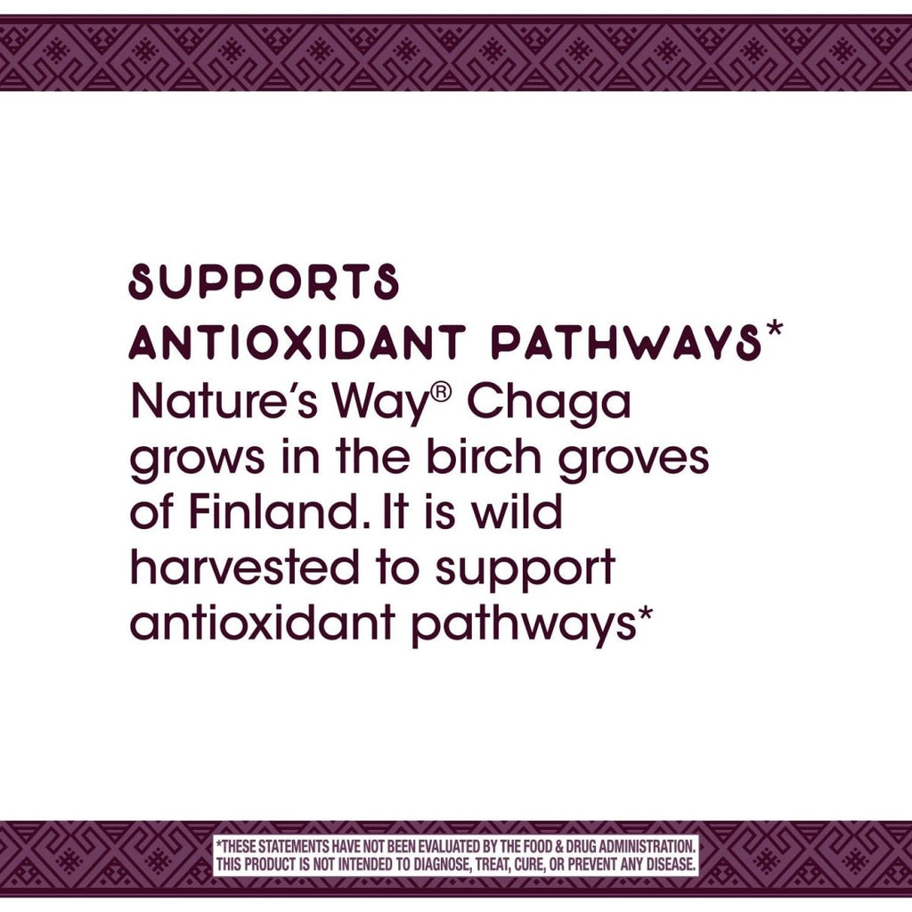 Nature's Way Extrait Supérieur de Chaga, Soutient les Voies Antioxydantes, 480 mg par portion, 30 Vcaps