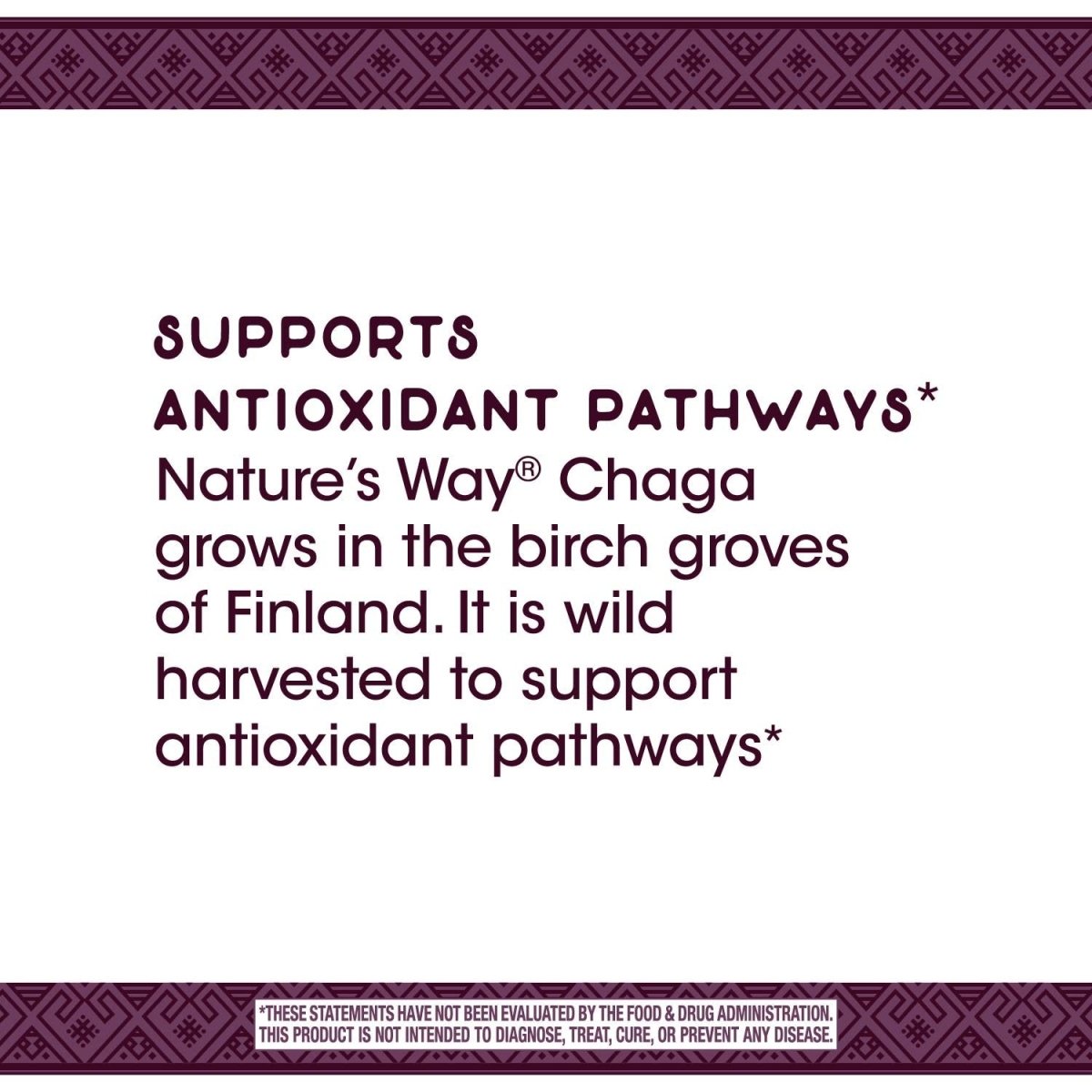 Nature's Way Extrait Supérieur de Chaga, Soutient les Voies Antioxydantes, 480 mg par portion, 30 Vcaps