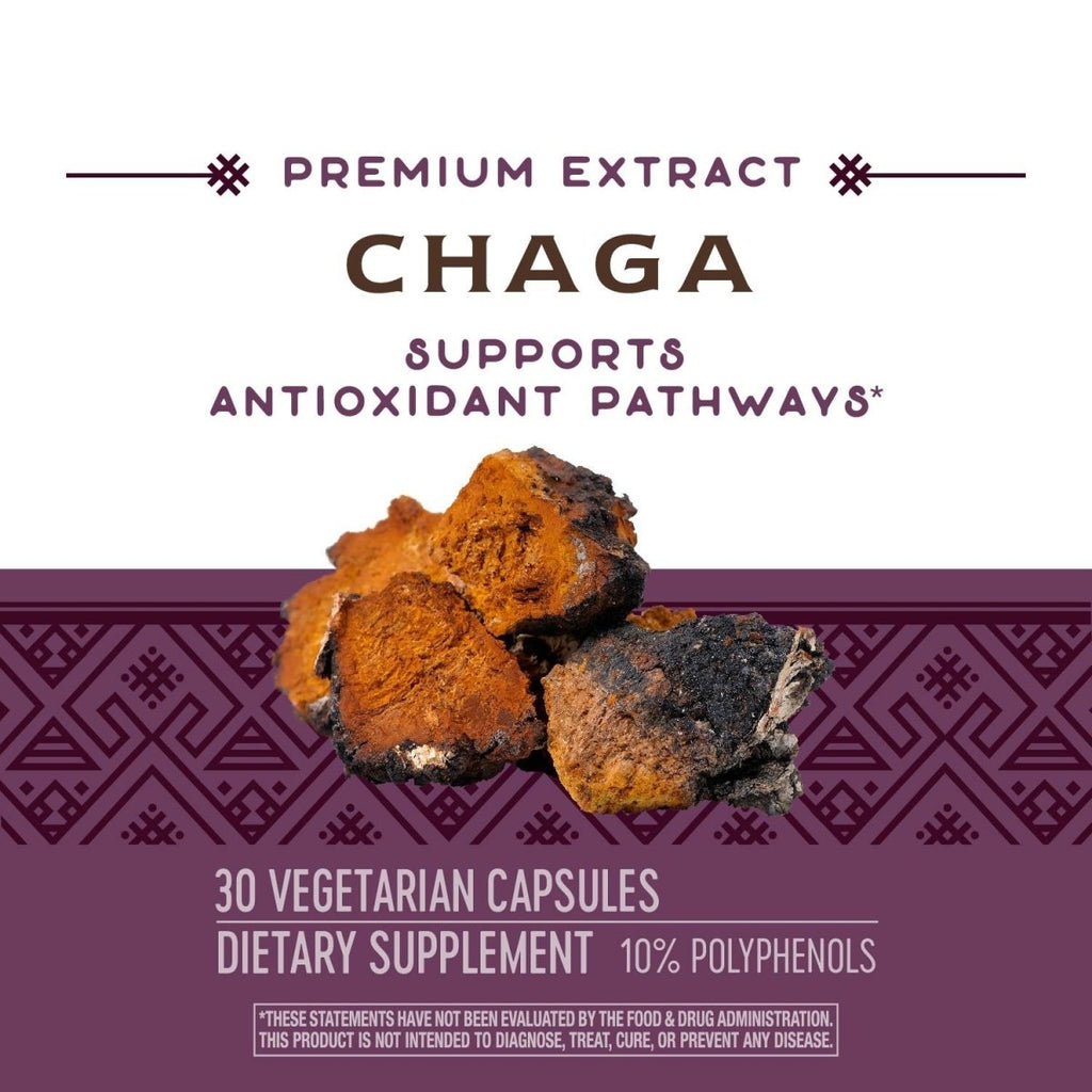 Nature's Way Extrait Supérieur de Chaga, Soutient les Voies Antioxydantes, 480 mg par portion, 30 Vcaps