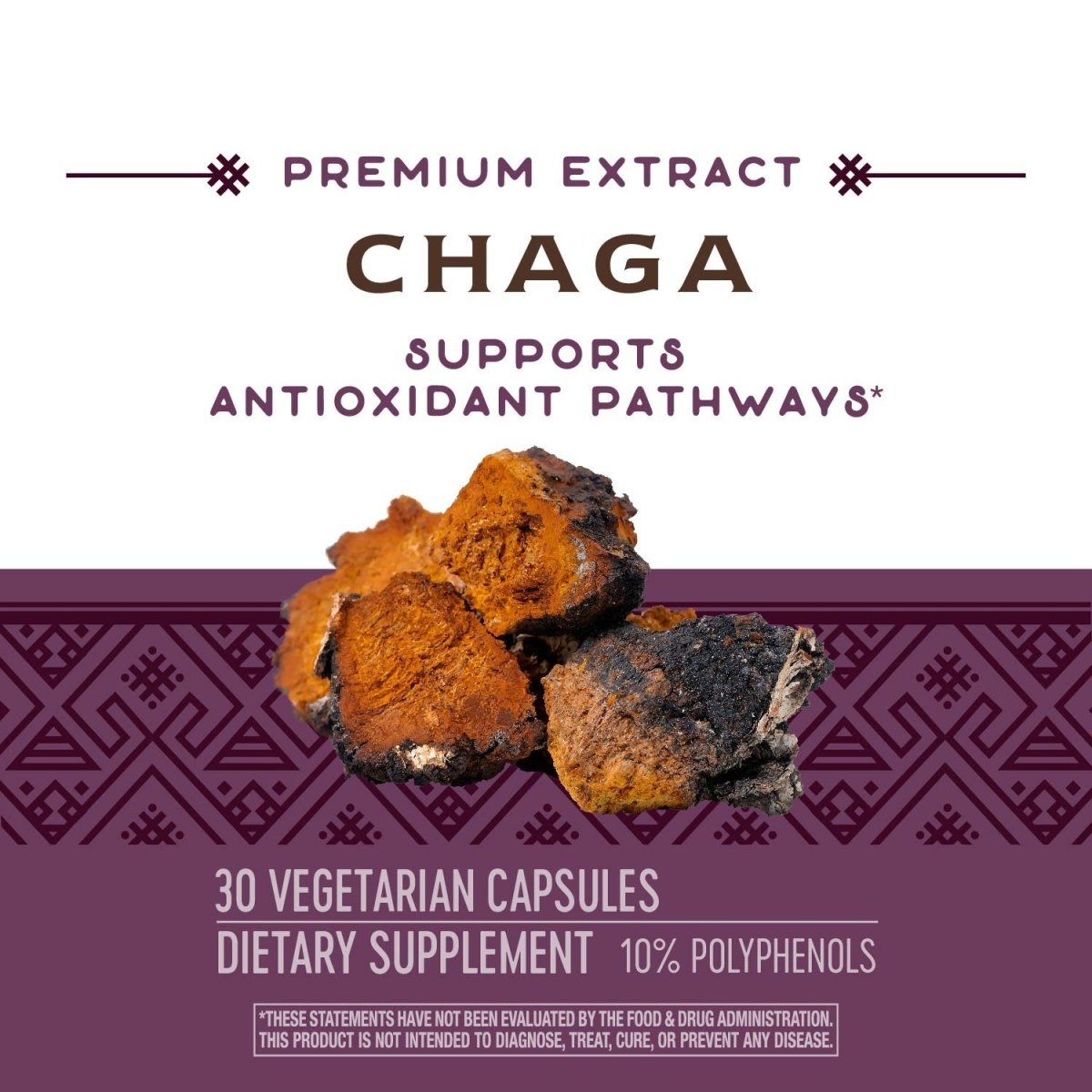 Nature's Way Extrait Supérieur de Chaga, Soutient les Voies Antioxydantes, 480 mg par portion, 30 Vcaps