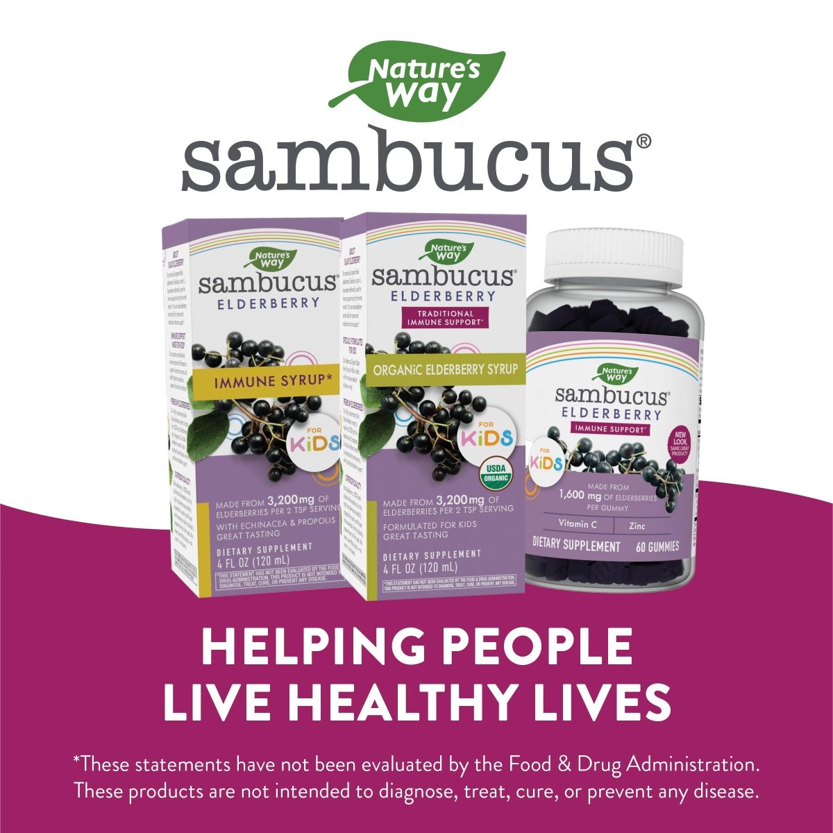 Nature's Way Sambucus Organic Elderberry Syrup for Kids - 4 Fl. Oz
