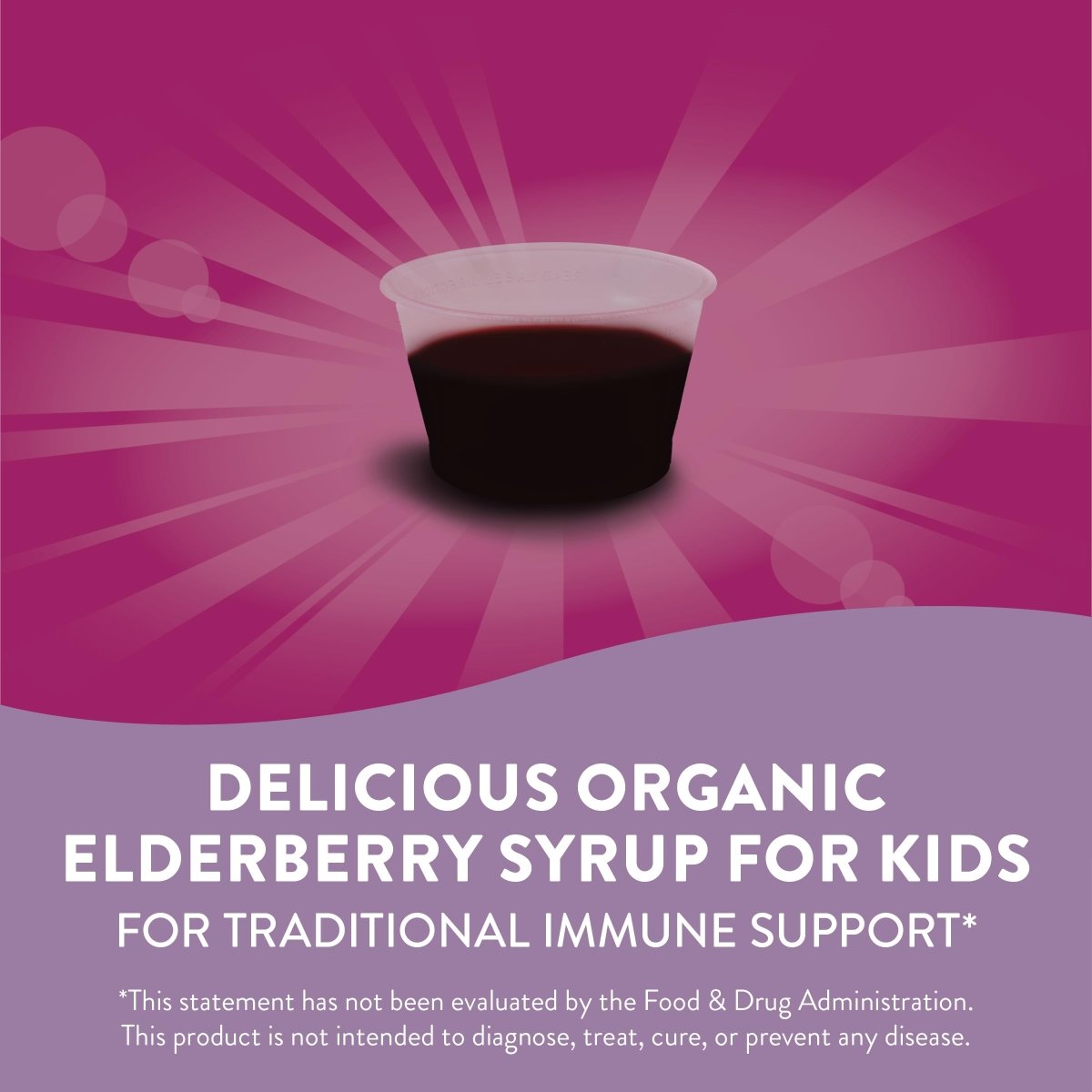 Nature's Way Sambucus Organic Elderberry Syrup for Kids - 4 Fl. Oz