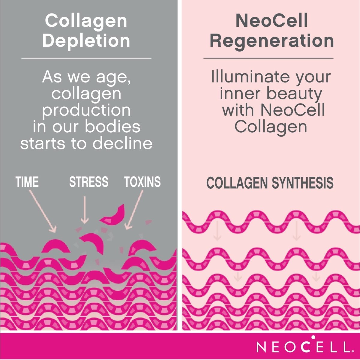 NeoCell Collagène Marin avec Collagène Type 1 et 3 et Acide Hyaluronique, avec Collagène Hydrolysé, Complément Santé de la Peau, Capsule, 120 Comprimés, 1 Bouteille